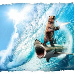 Meet your Posher, James